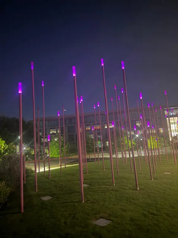 Landscape lighting installation in Austin TX — pathway and accent lighting by Cross Texas Electric